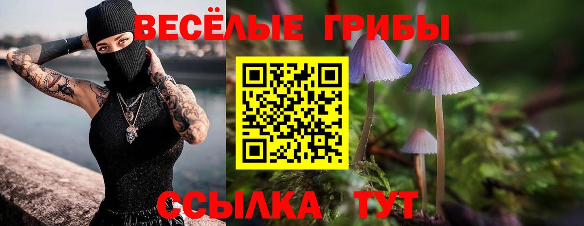 Галлюциногенные грибы ЛСД Благодарный
